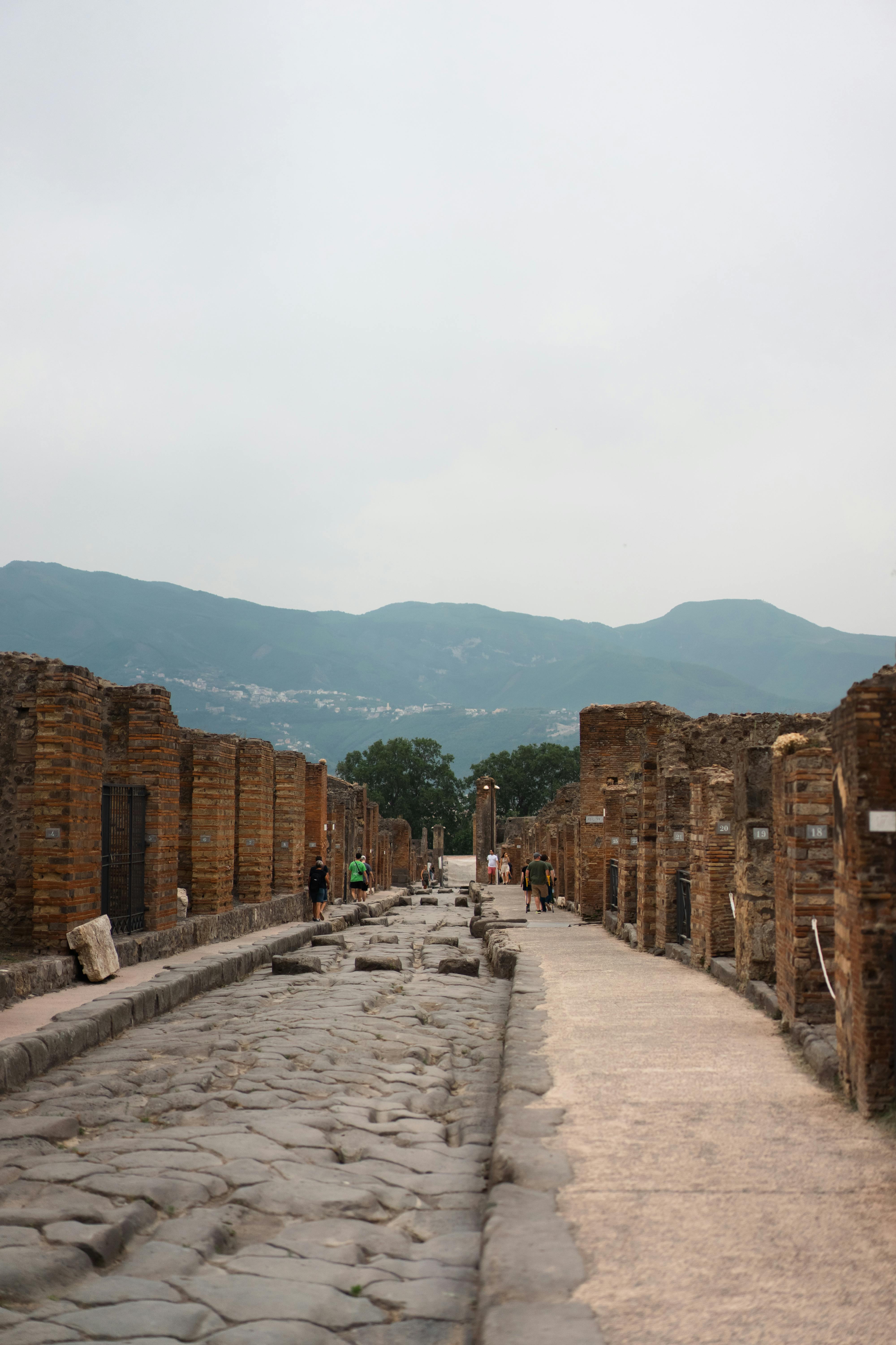 Visita con Guida Autorizzata CINESE a POMPEI - BIGLIETTI INCLUSI