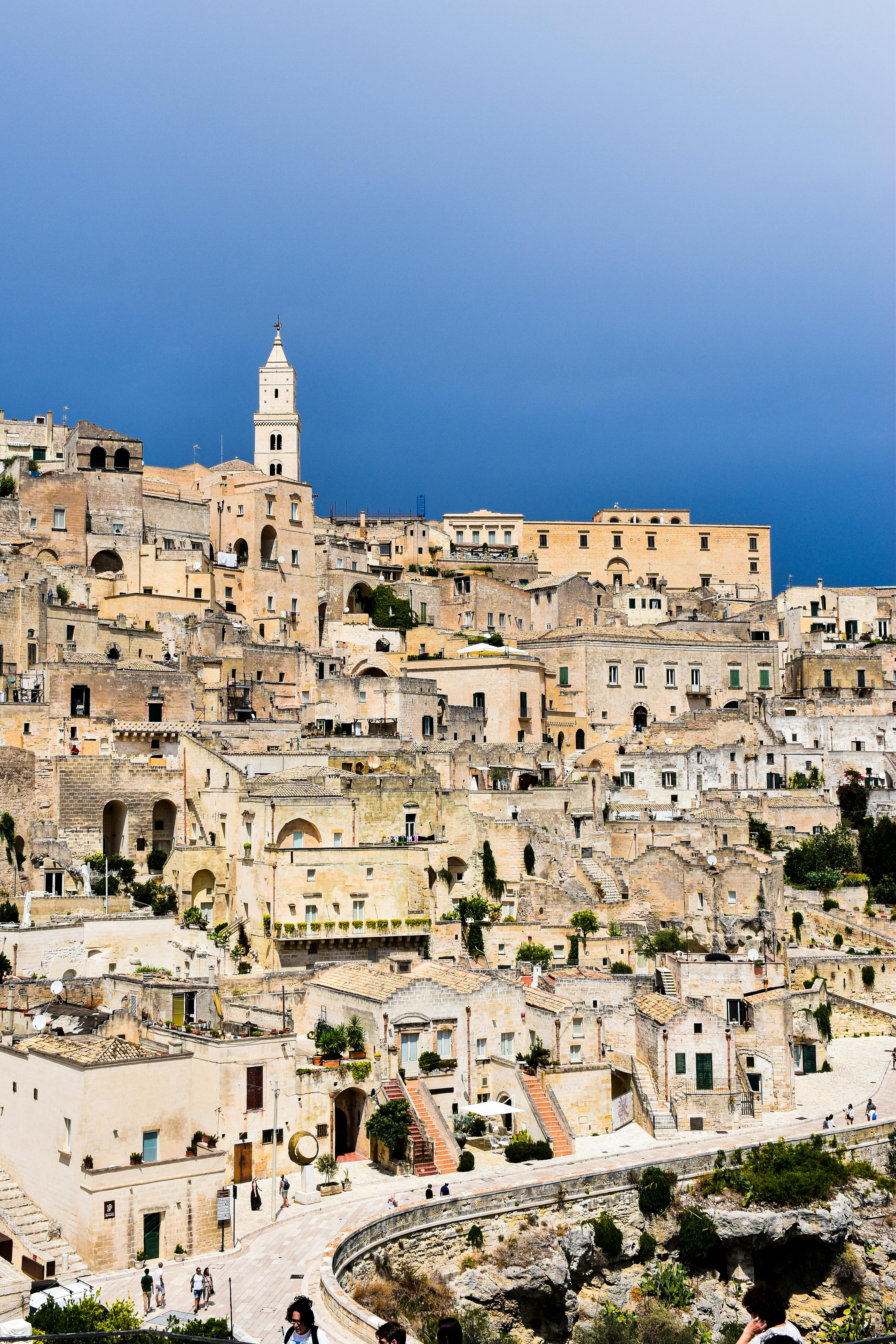 Autista parlante Cinese - PUGLIA/MATERA - distanza massima 150km da hotel