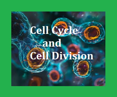 Class 10 Biology Lesson Plan - Cell Cycle and Cell Division