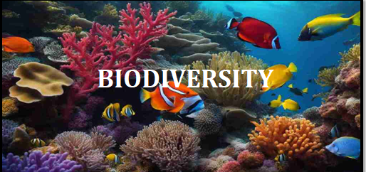 Biology - Concept of Biodiversity