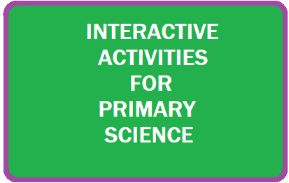 Interactive Science Activities for Primary Classroom