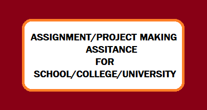 Academic Assistance - School/College/University