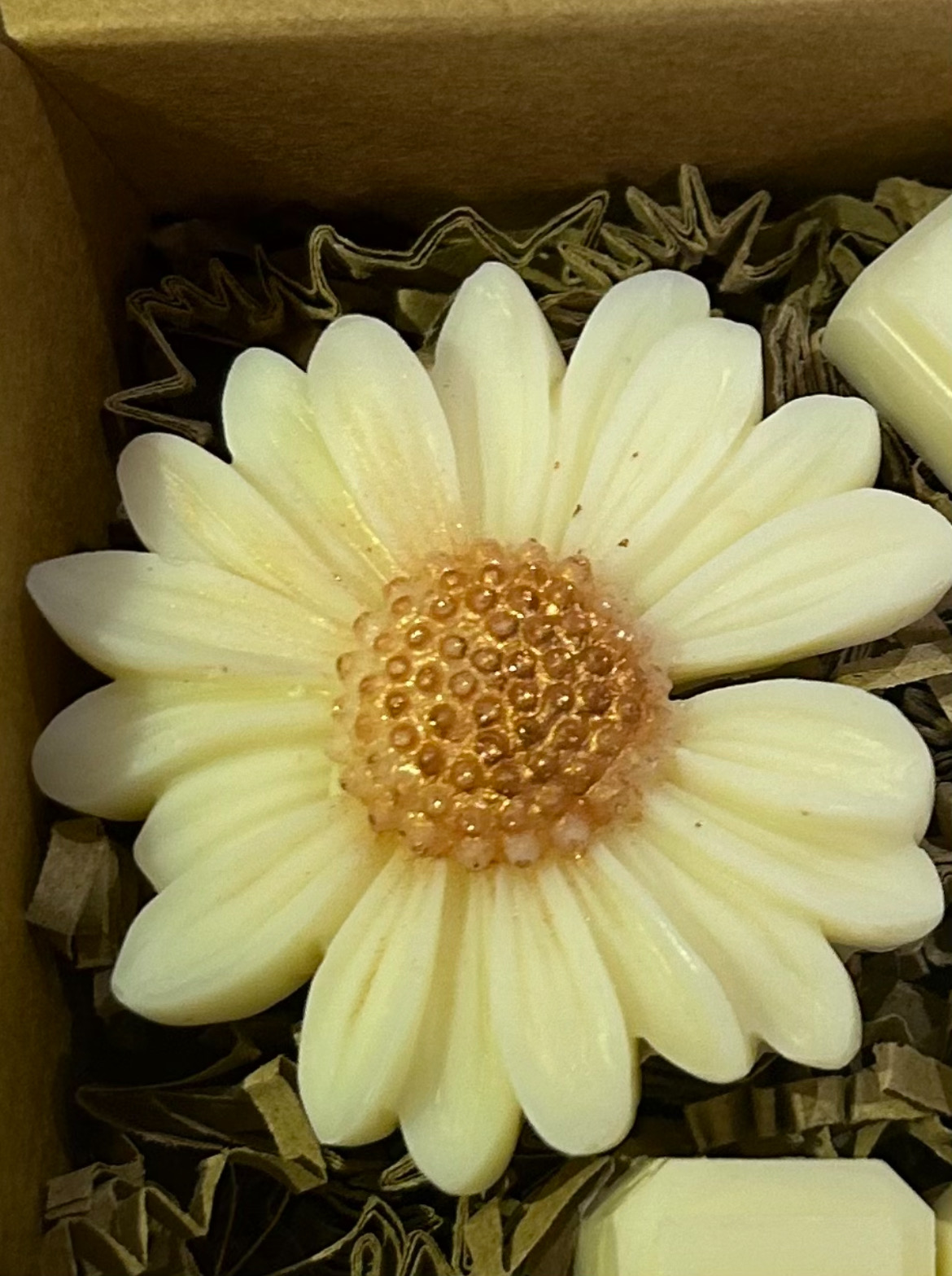 Small Daisy Flower Wax Melt