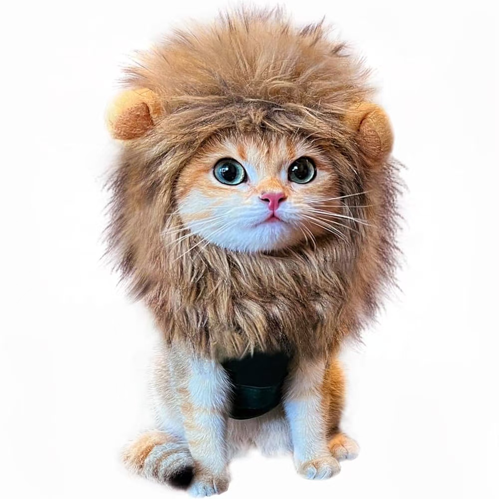 Lion Mane Costume for Cats