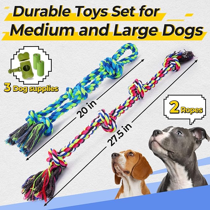 Dog chewing rope