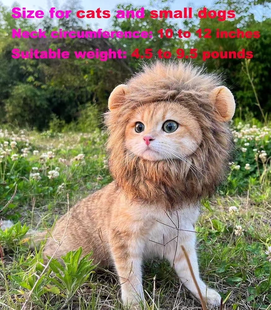 Lion Mane Costume for Cats