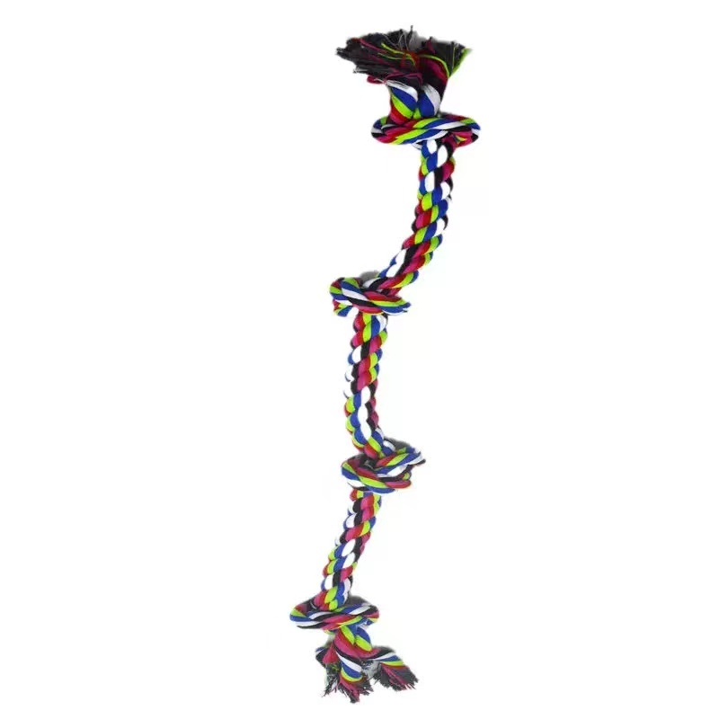 Dog chewing rope