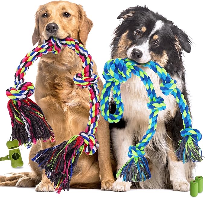 Dog chewing rope