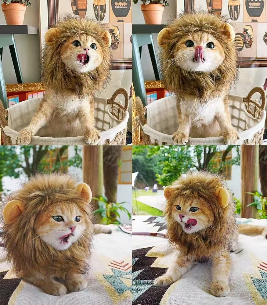 Lion Mane Costume for Cats