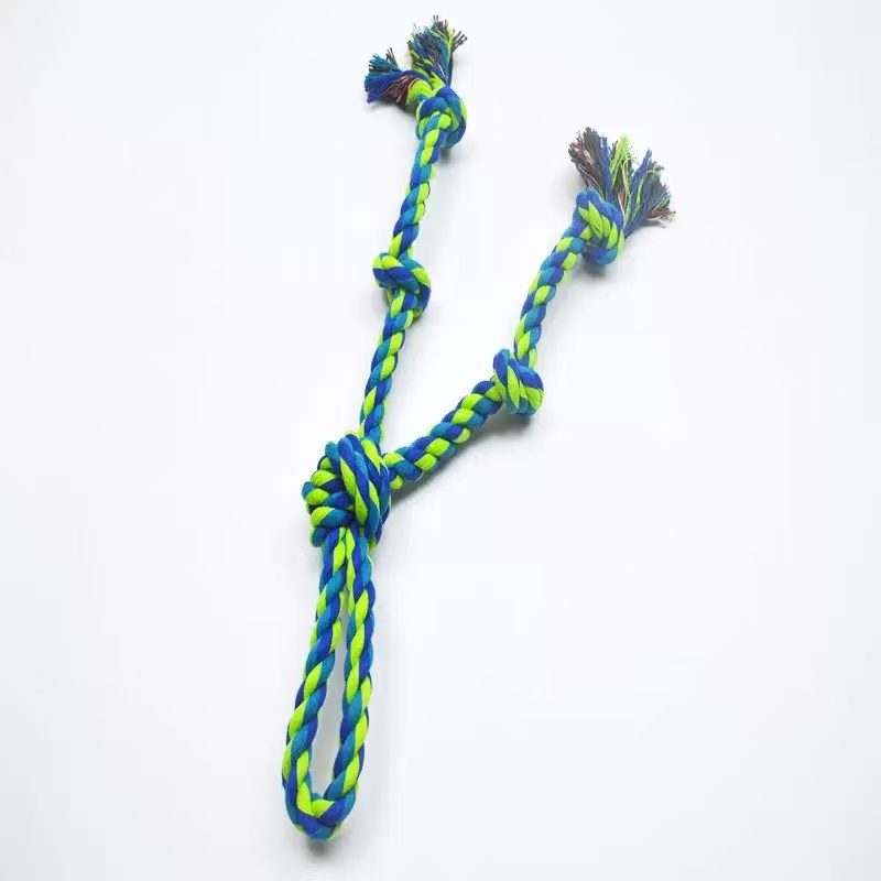 Dog chewing rope