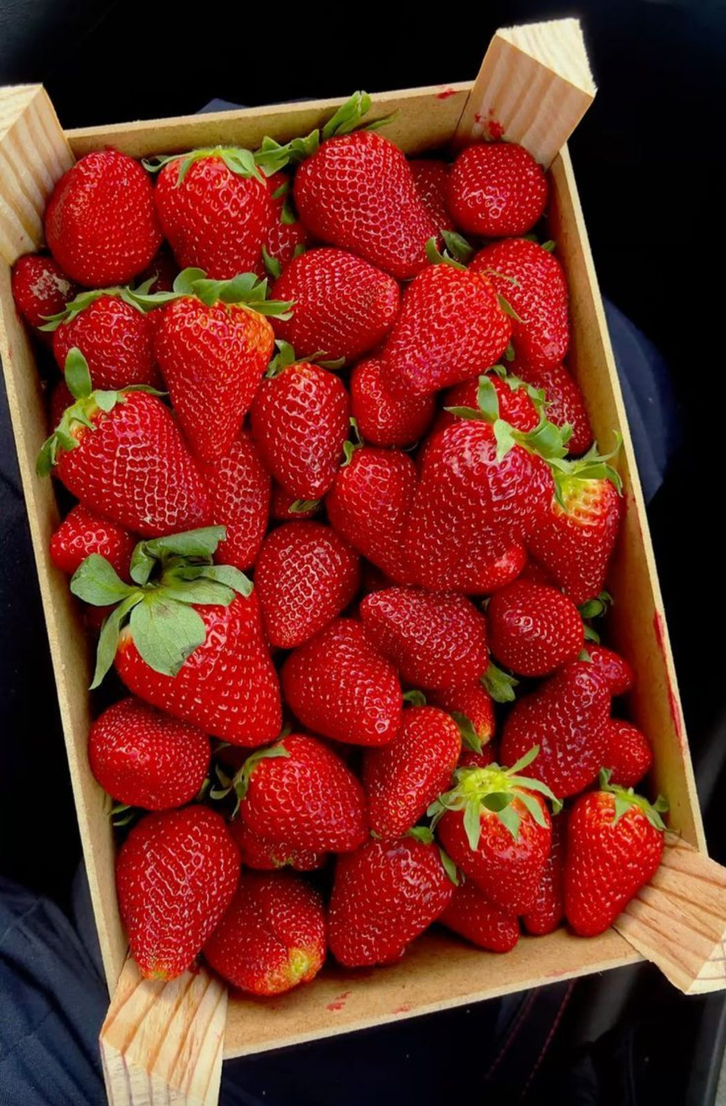 Fresh Strawberries