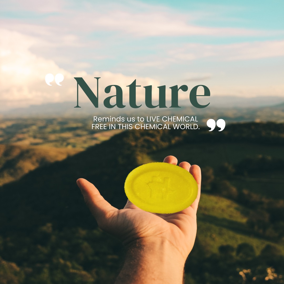 Fruit Salad® Soap with Papaya (75g) Pack Of 5 (Buy 5 + Get 1 Free)