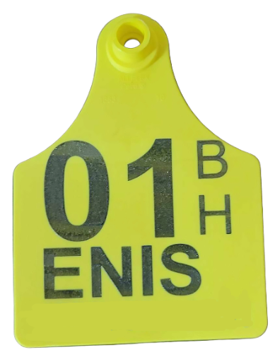 Custom Cattle tags