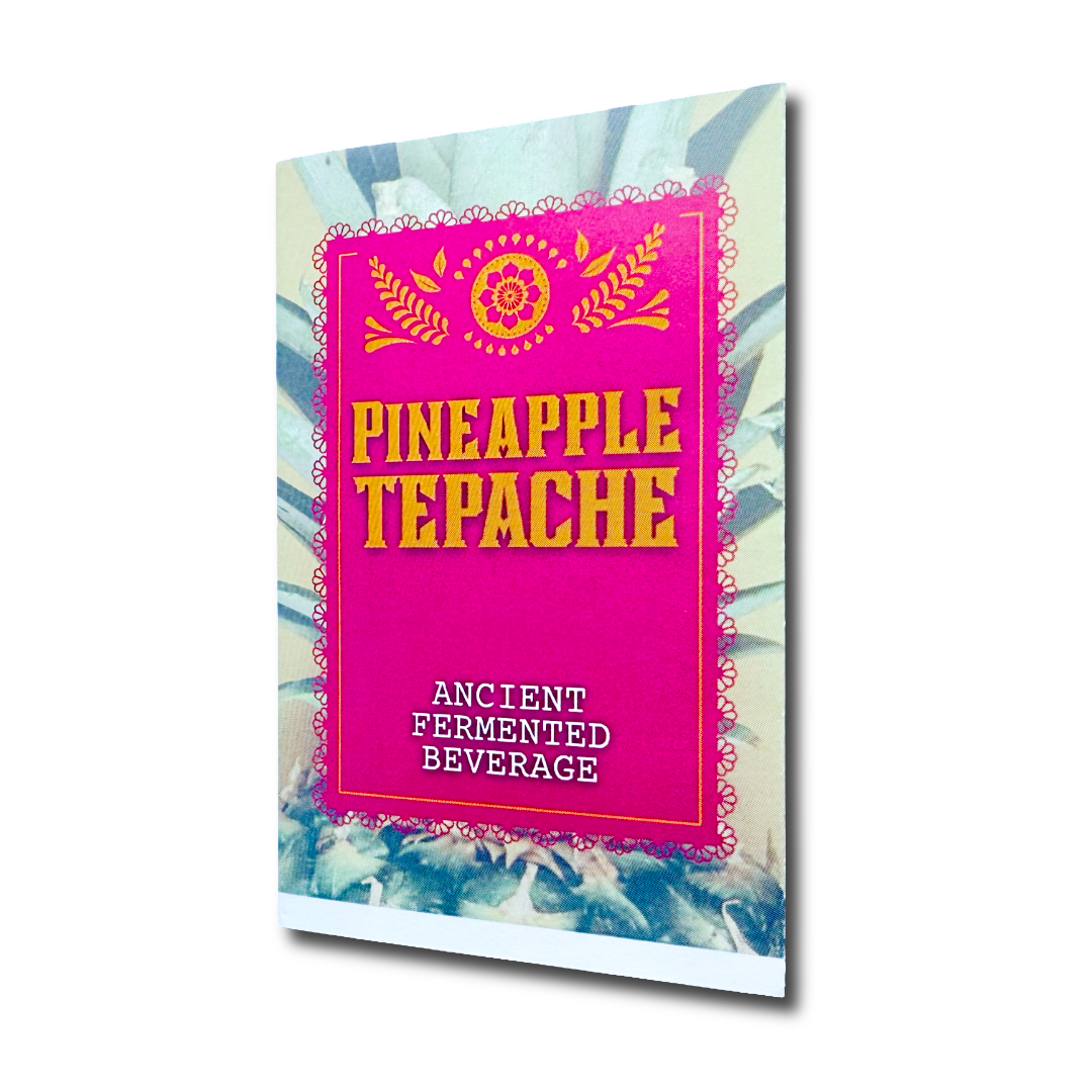Pineapple Tepache minizine