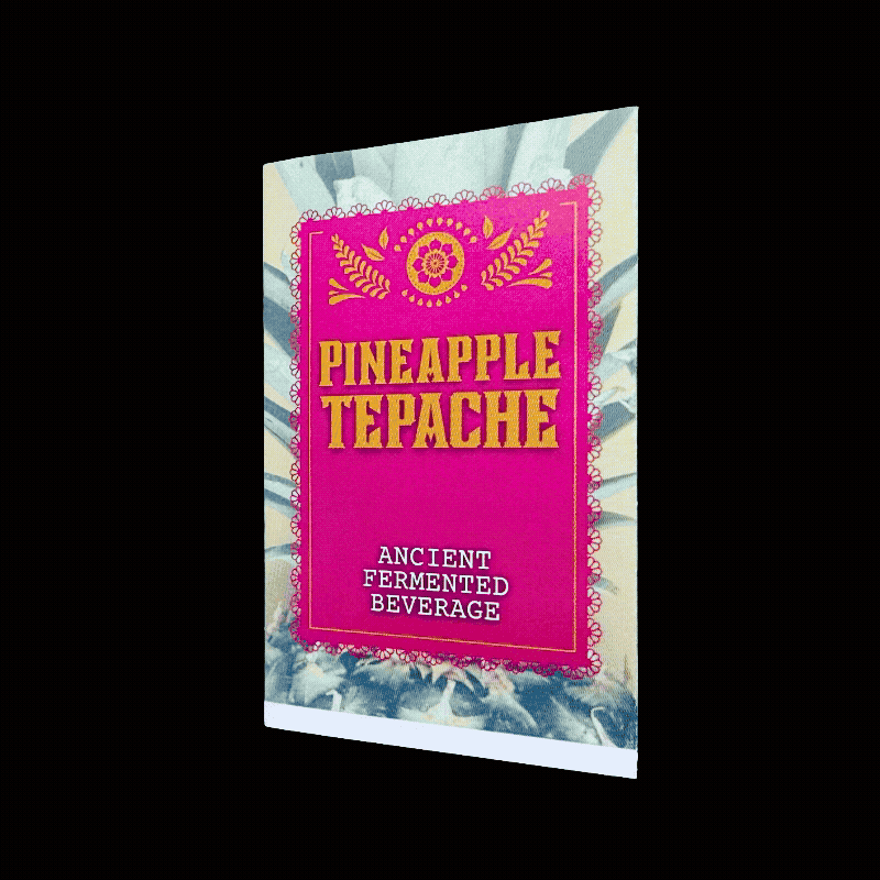 Pineapple Tepache minizine