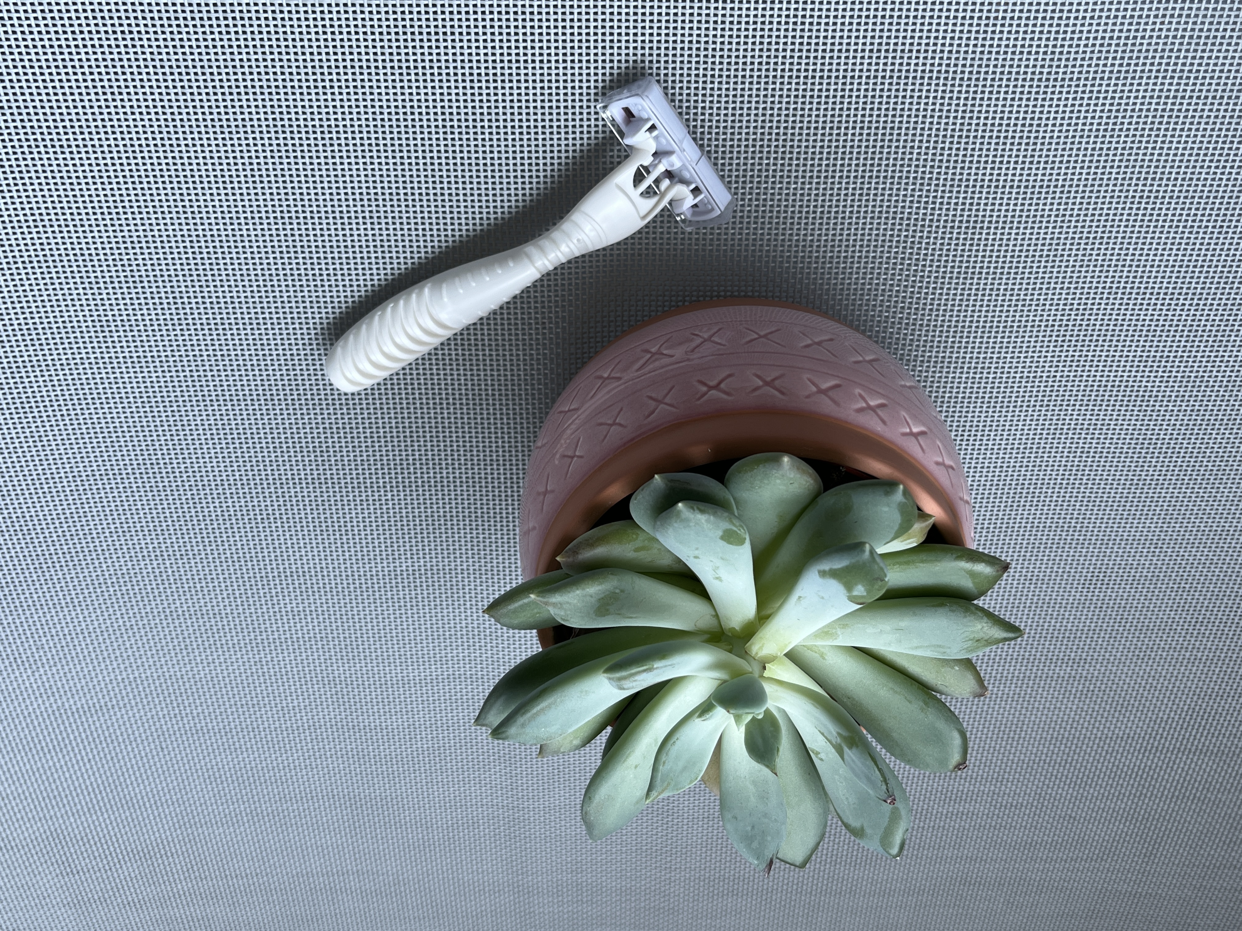 Disposable Razors for Women - 6 Blades - Pack of 13 - Free U.S. Ship