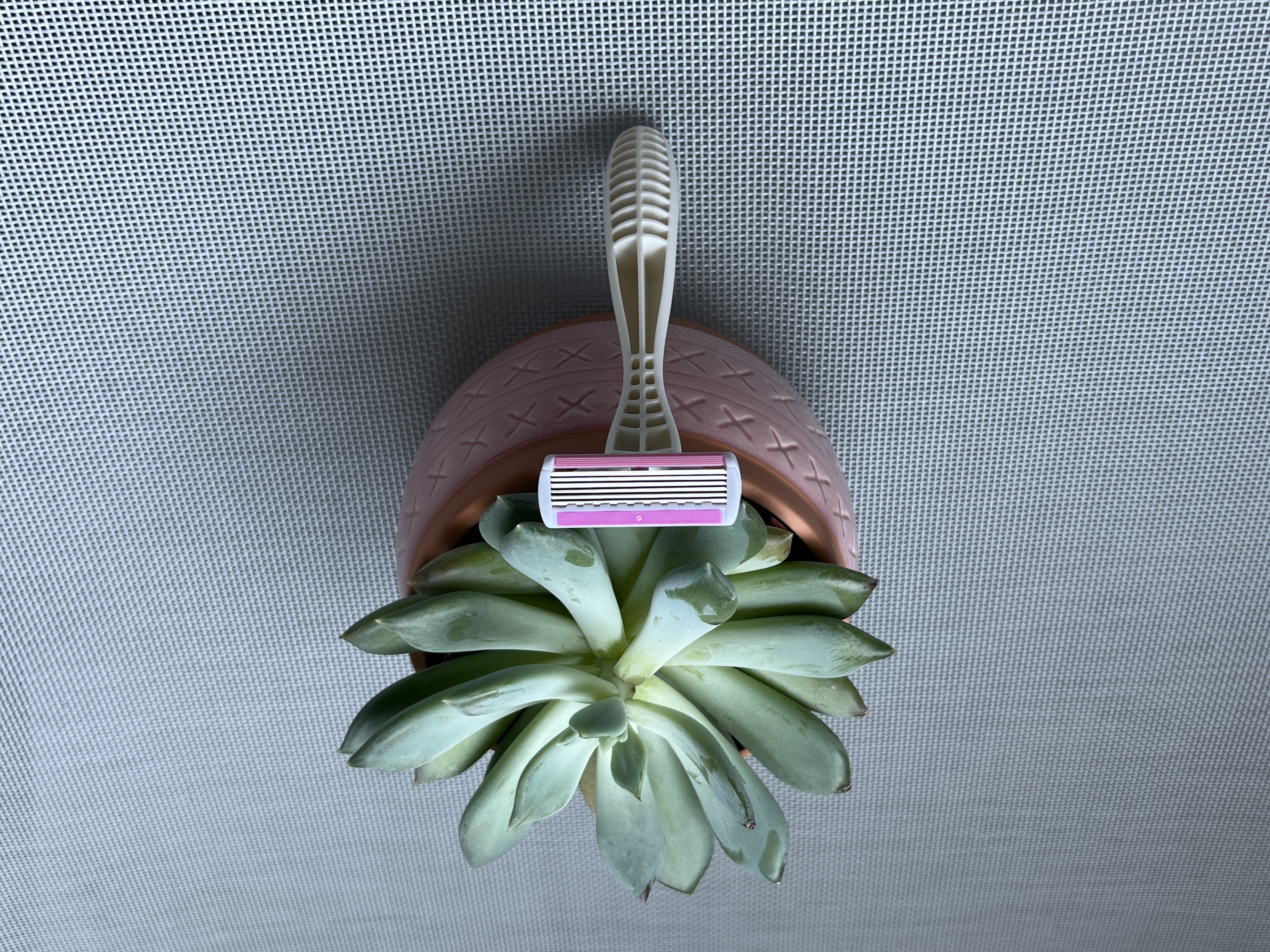 Disposable Razors for Women - 6 Blades - Pack of 13 - Free U.S. Ship