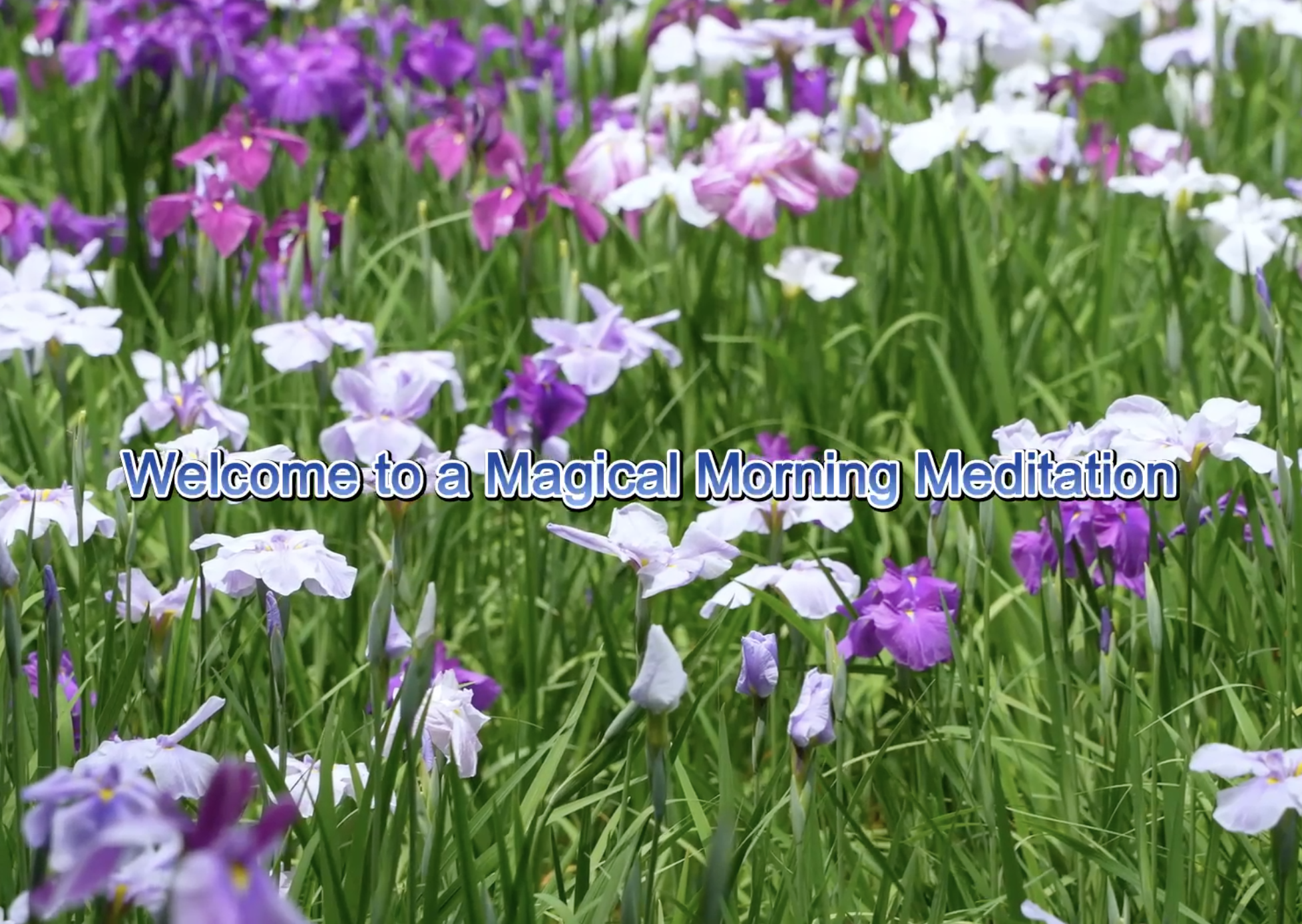 Magical Morning Meditation