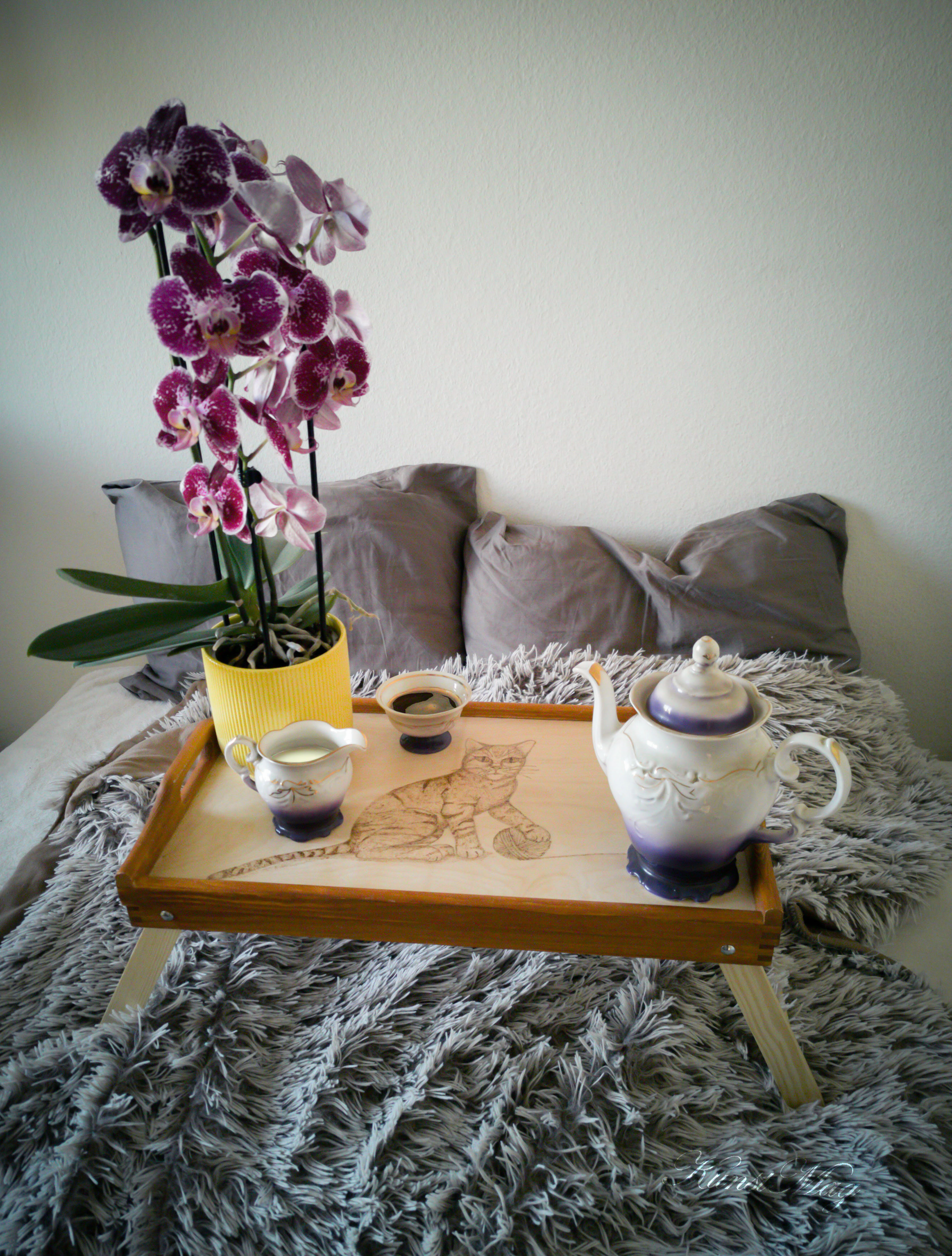 Klappbares Tablett  Katze