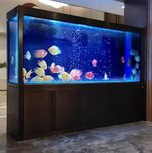 Large Aquarium with Colorful Fish