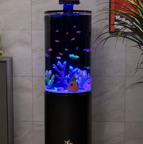 Modern Cylindrical Fish Tank