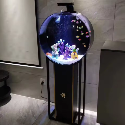 Modern Fish Aquarium