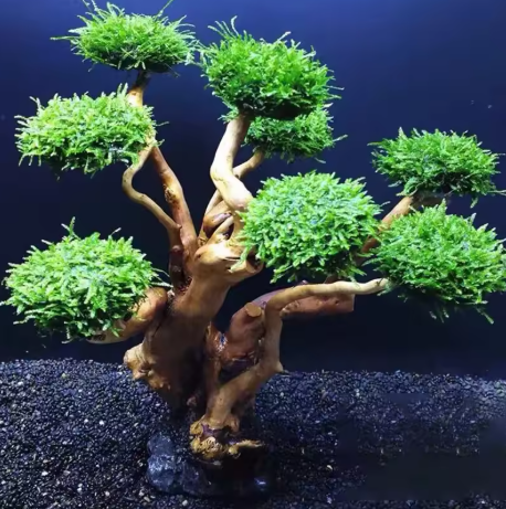 Aquarium Bonsai Tree Decoration