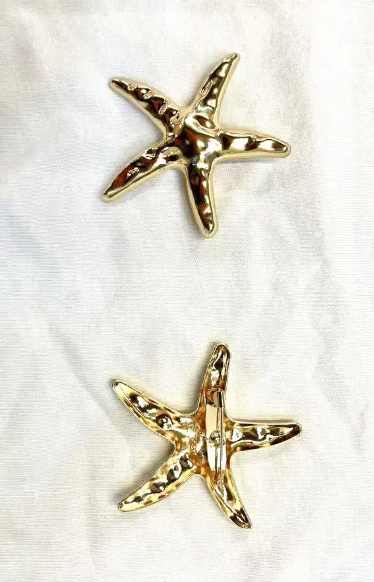 BROCHE ETOILE 