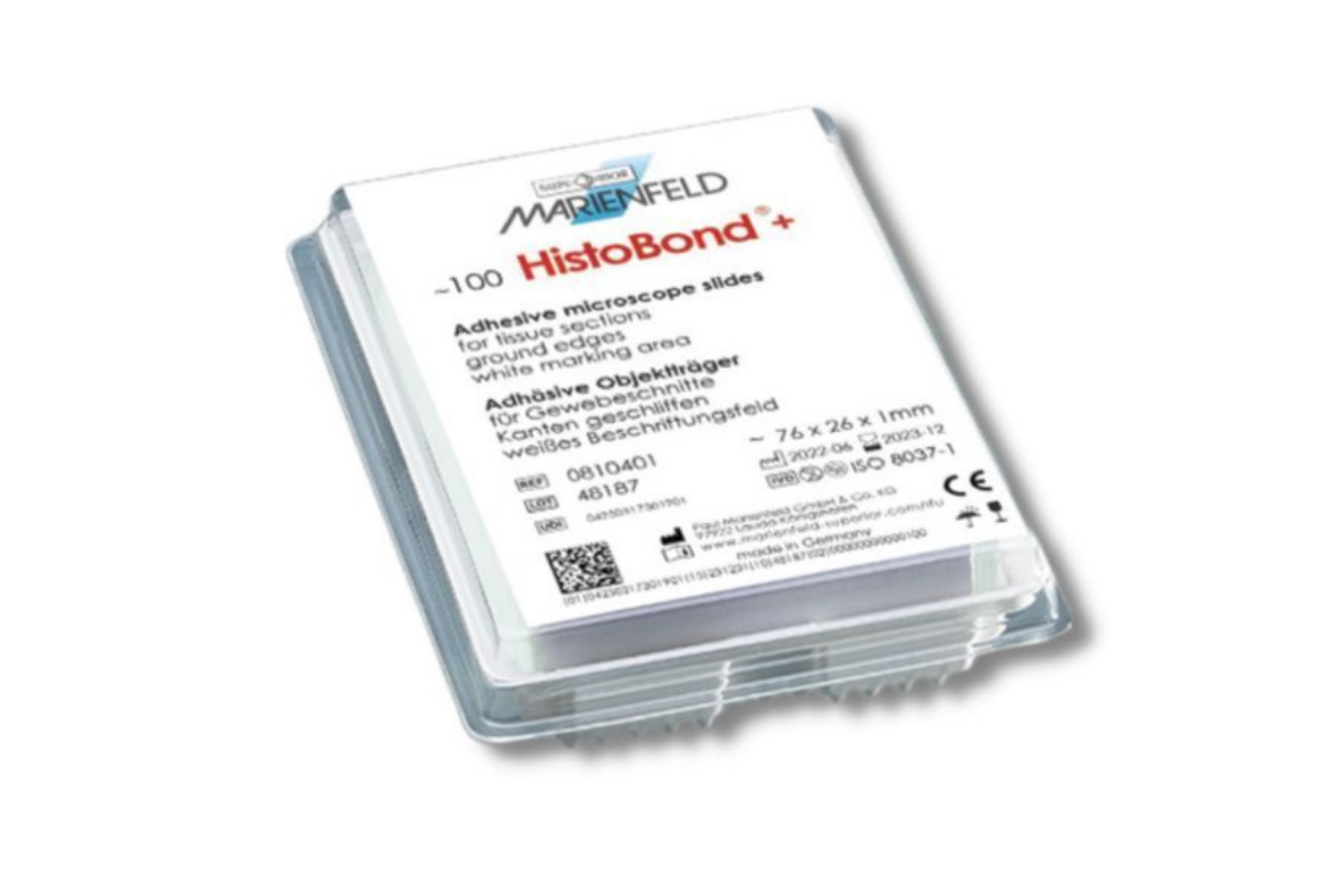 HistoBond® Microscope Slides with 90° Ground Edges, White Writing Area
