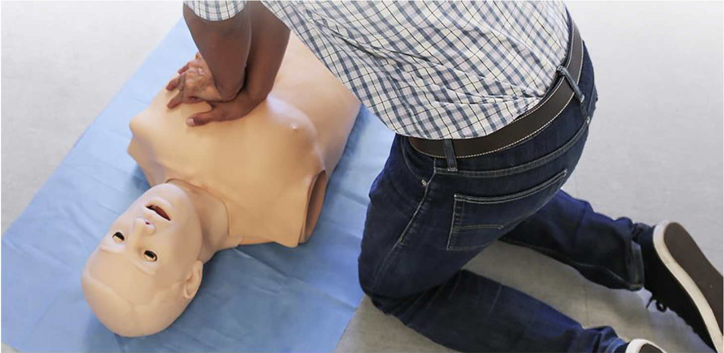 HAL® S315 - Adult Airway and CPR Trainer