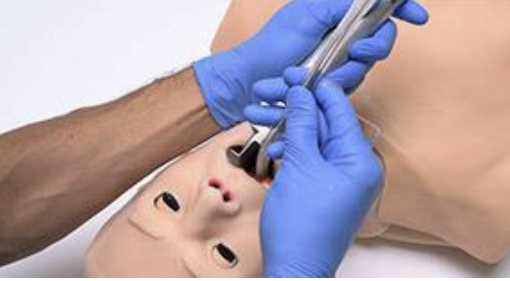  HAL® S315 - Adult Airway and CPR Trainer