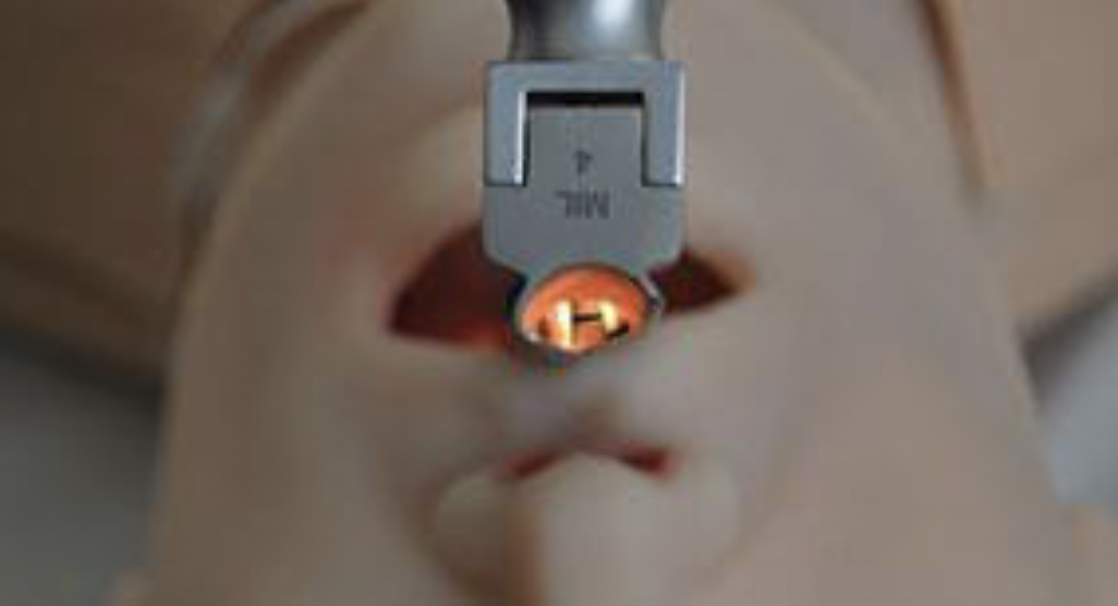  HAL® S315 - Adult Airway and CPR Trainer