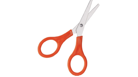 Budget Scissors – 100mm (Red Handle)
