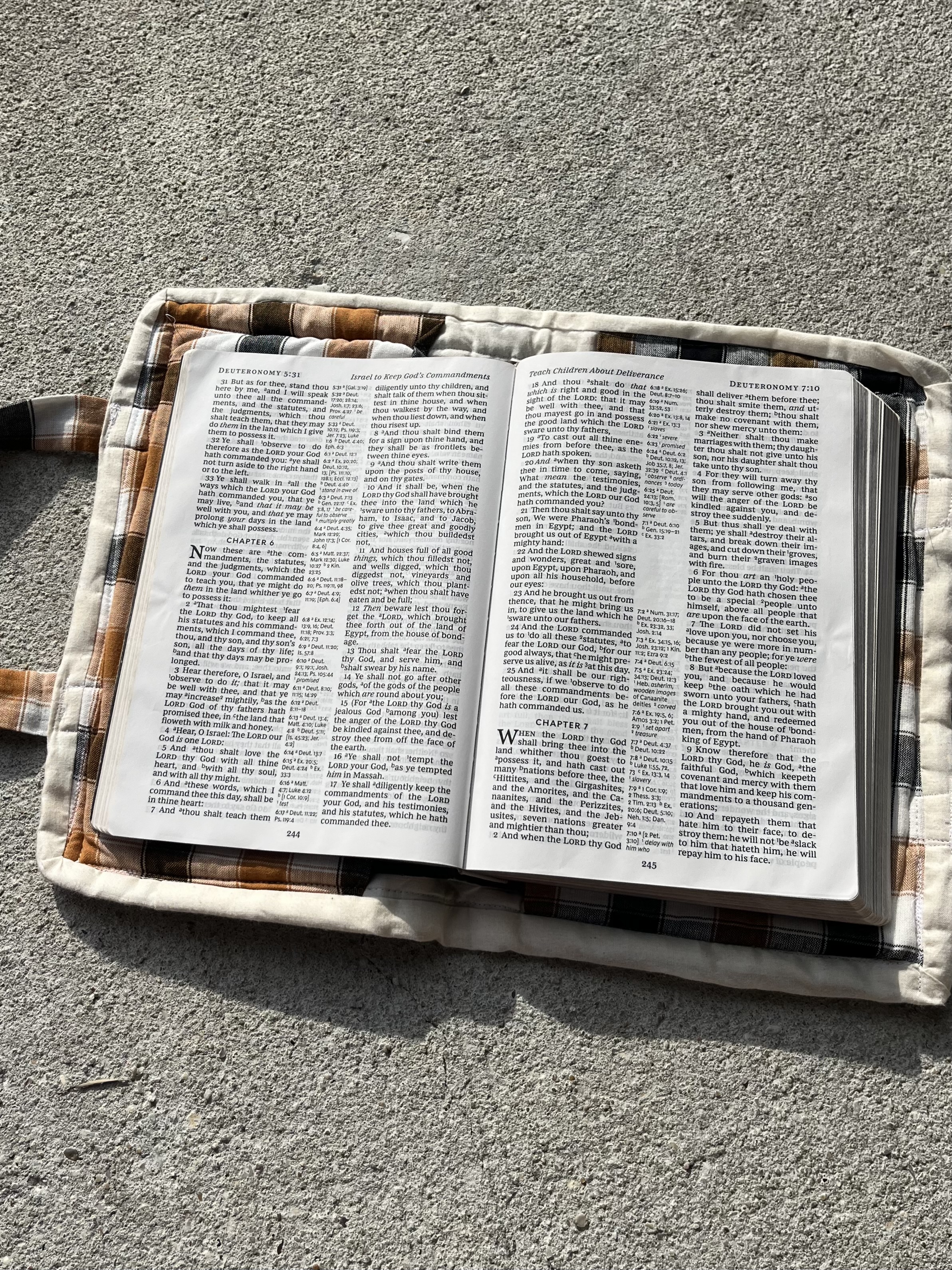 Brown & Navy Blue Bible Carry Bag with Handles