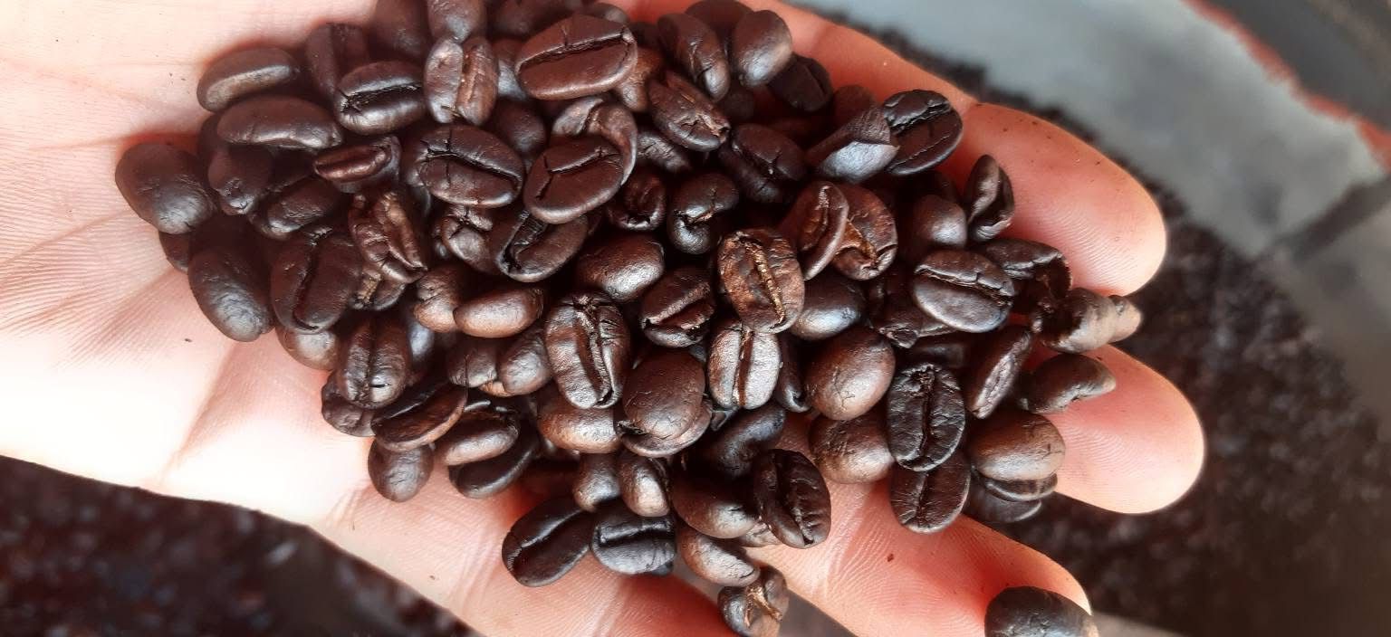 Roasted Coffee 250 gr / Cafe tostado oscuro 250 gr