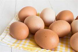 Free Range eggs