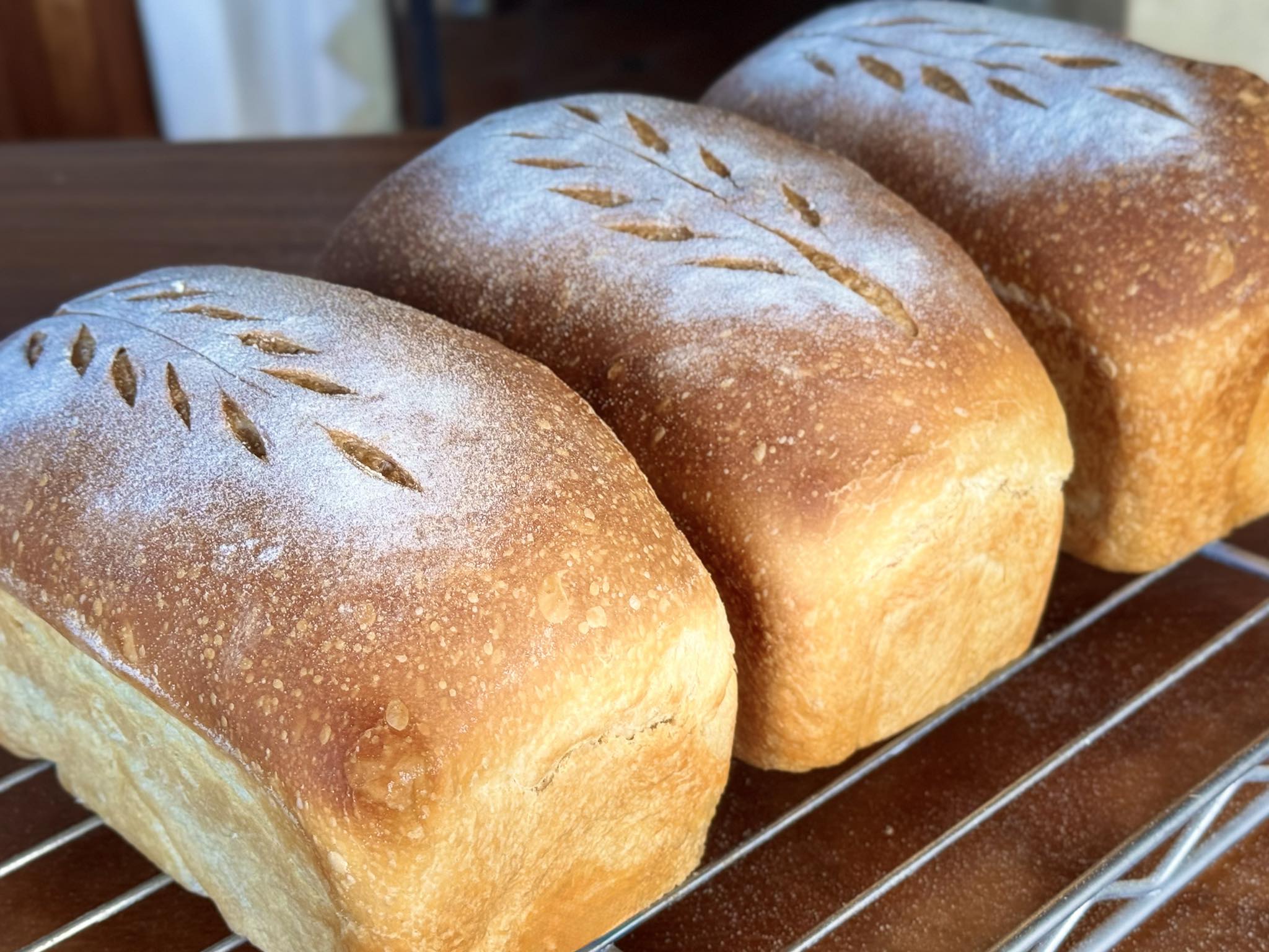 Sandwich Bread / Barra para sandwich