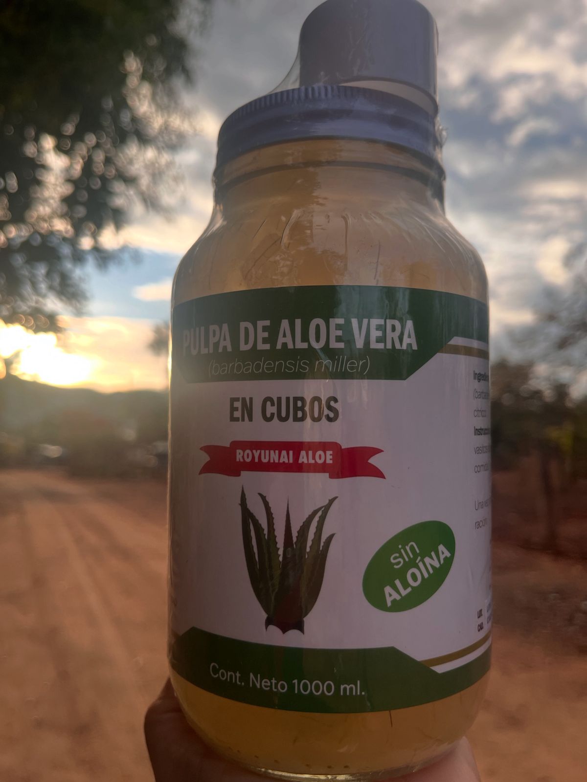 Aloe Vera Pulp Cubes / Cubos de Aloe Vera