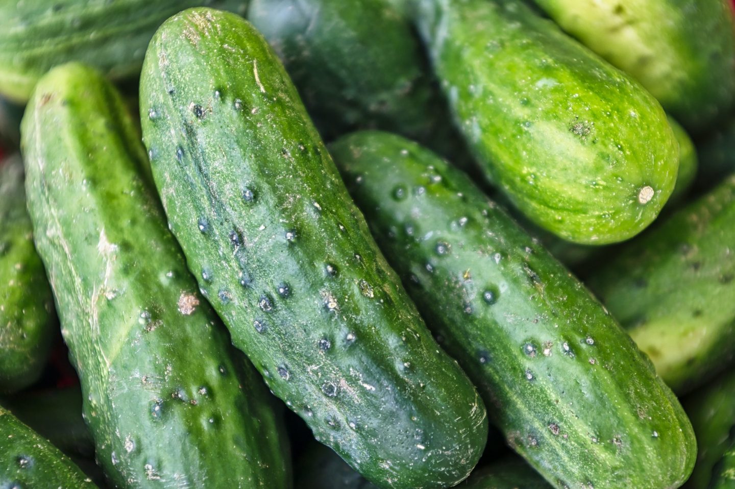 Fresh Cucumbers / Pepinos 4 piezas