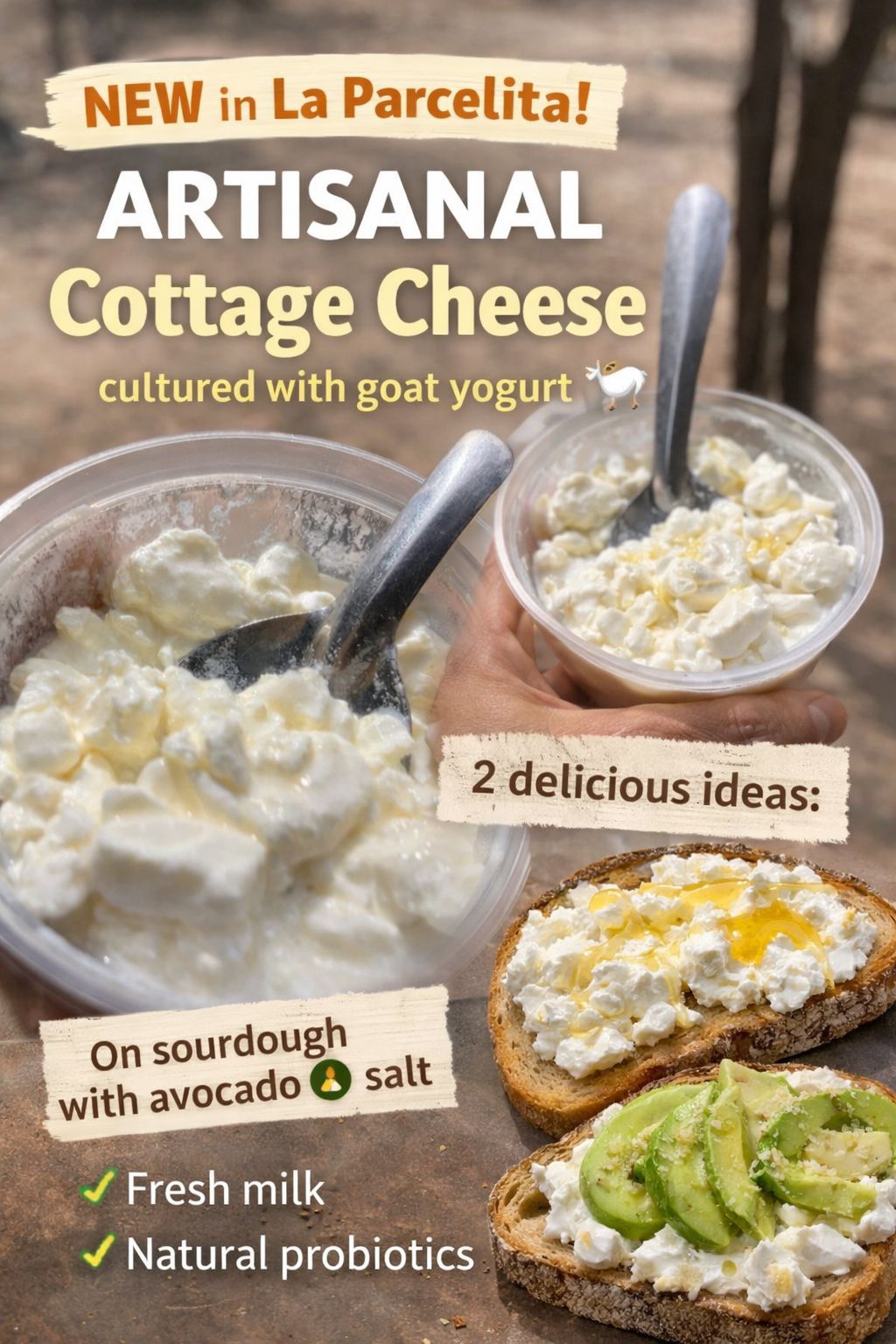 Fresh Cottage Cheese 350 gr