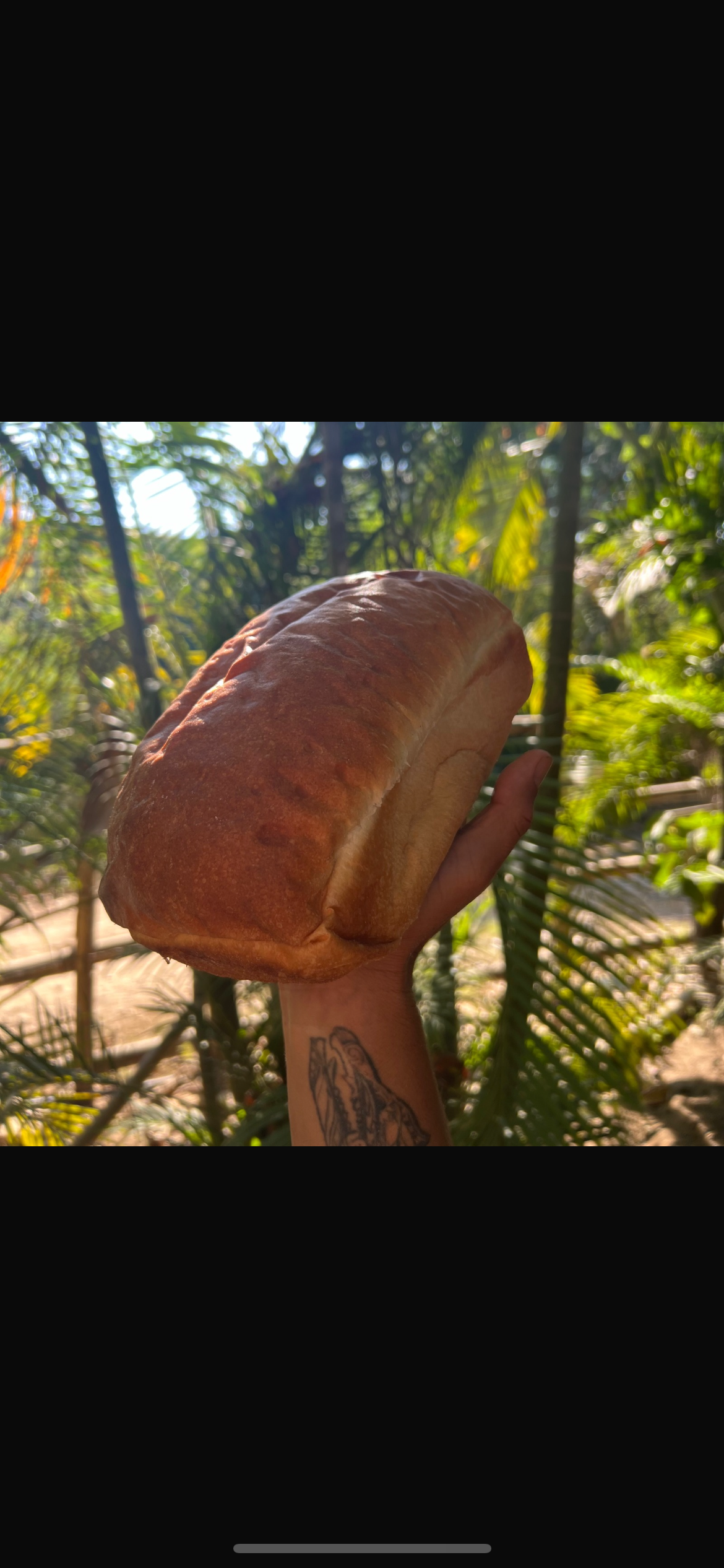 Brioche loaf bread / barra de pan brioche 