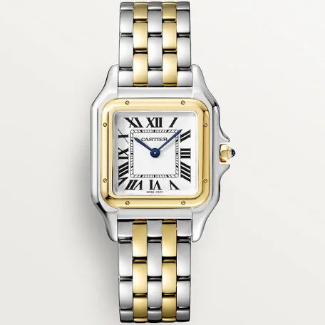 Montre cartier Santos