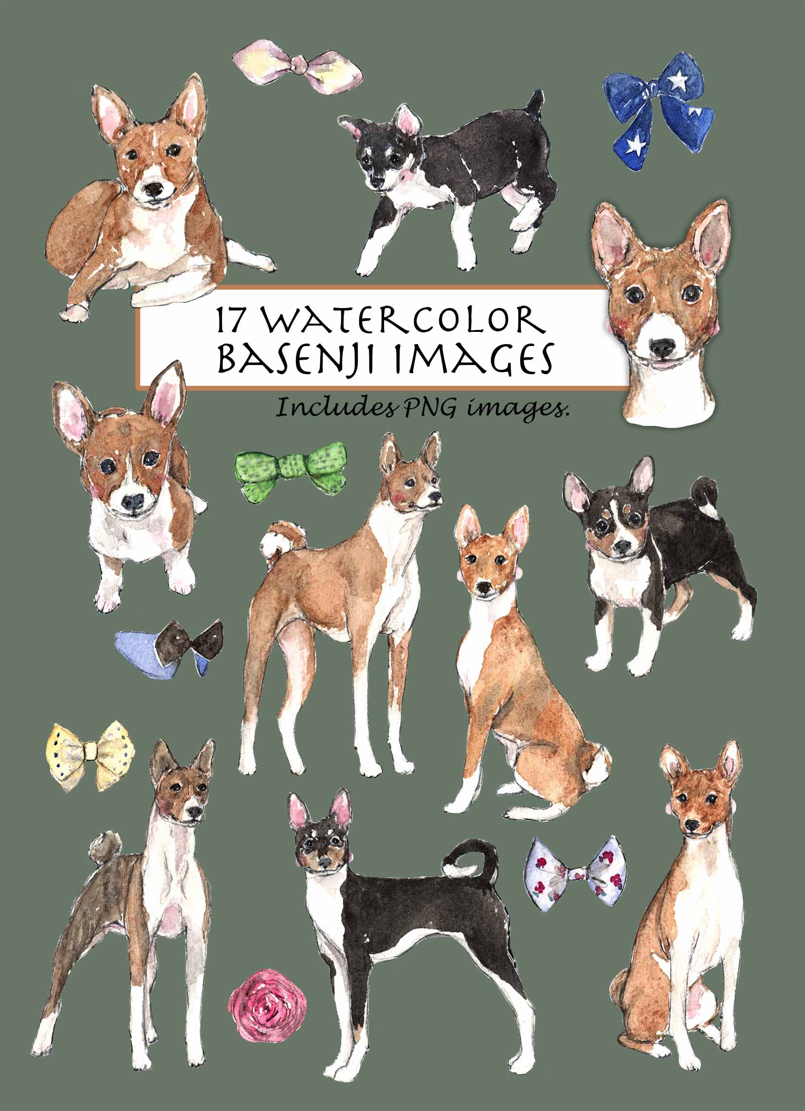 Basenji Digital Clipart