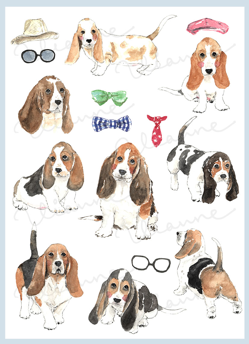 Watercolor Basset Hound Digital Clipart