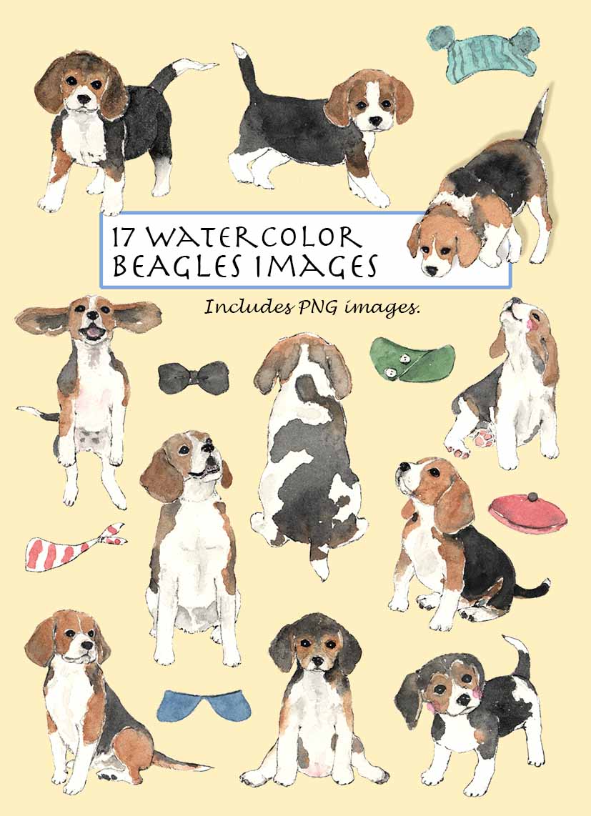 Watercolor Beagles Digital Clipart
