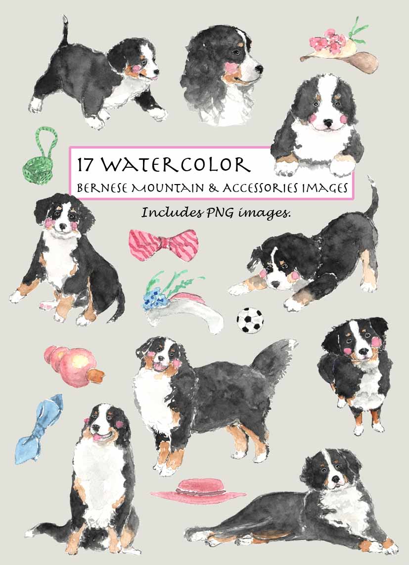 Bernese Mountain Digital Clipart