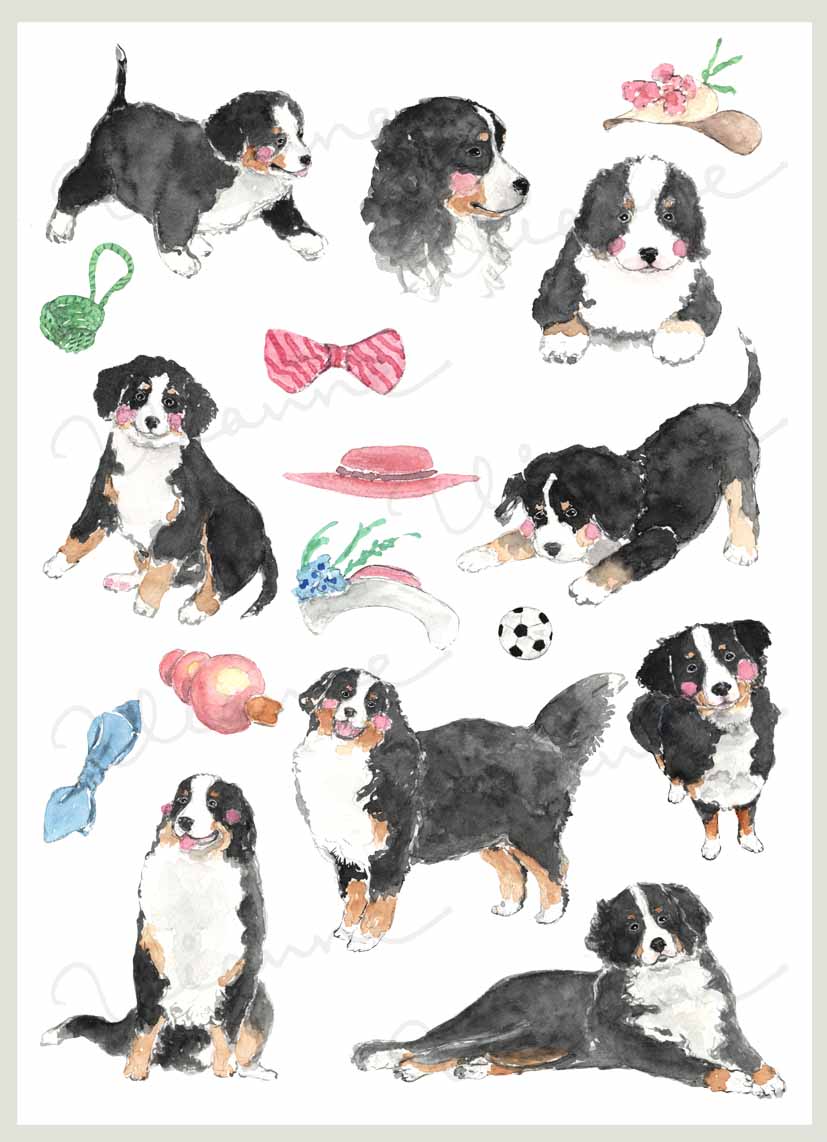 Bernese Mountain Digital Clipart