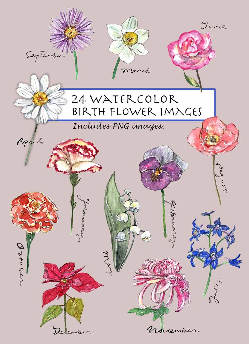 Birth Flower & Months Name Lettering Words Digital Clipart
