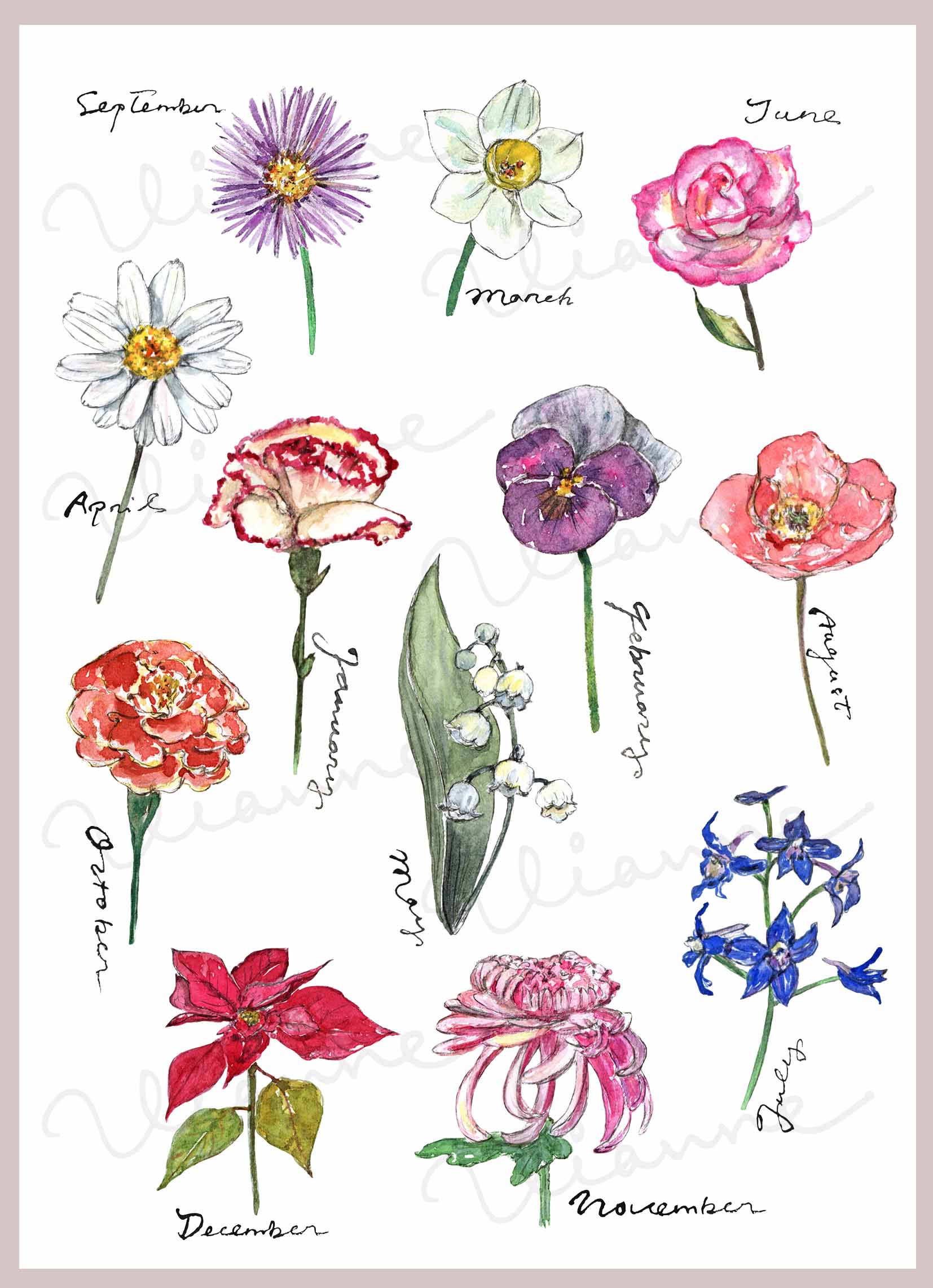 Birth Flower & Months Name Lettering Words Digital Clipart