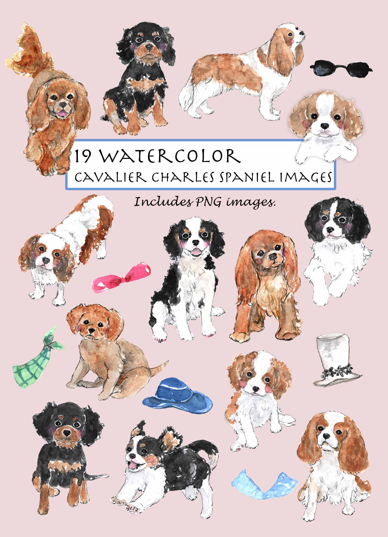 Cavalier King Charles Spaniel Digital Clipart